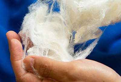 Blendable with a Range of Fibers